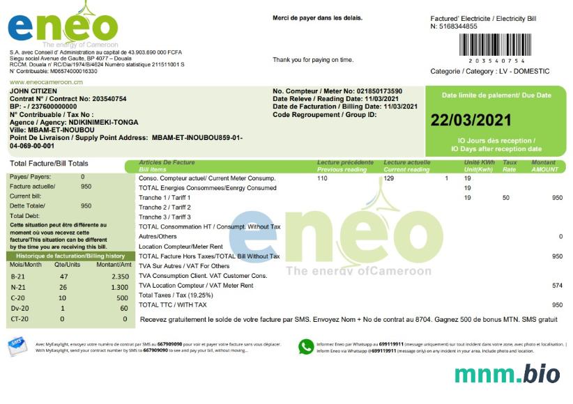 Szablon rachunku za energię elektryczną Cameroon Eneo w formacie Word i PDF (aktualna wersja)